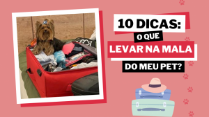 Read more about the article O que não pode faltar na mala de viagem do pet?